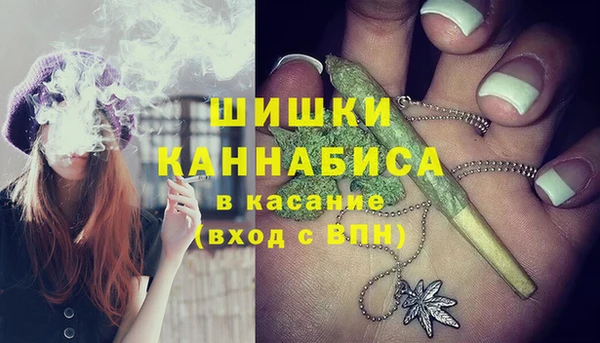 спиды Богородск